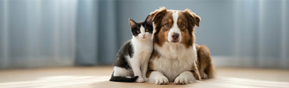How AI Search Is Recommending Pet Insurance: Monthly Trends