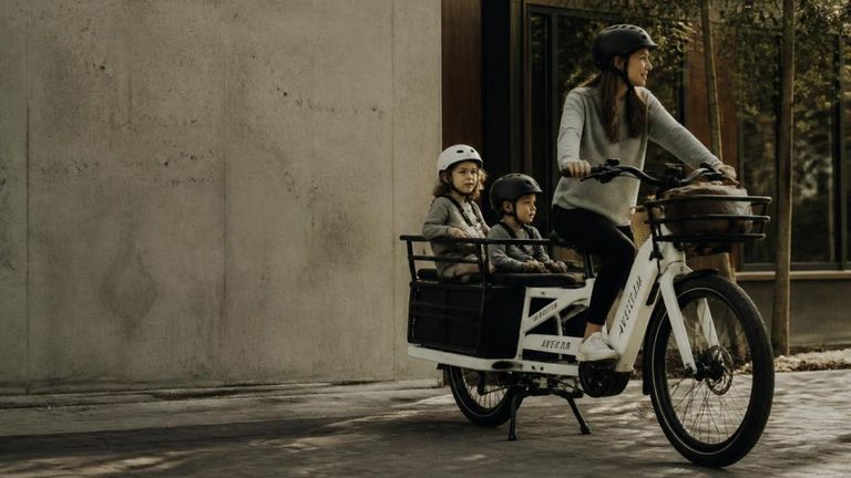 Aventon AI Market Strategy Report - Electric Cargo Bikes and Family E-bikes