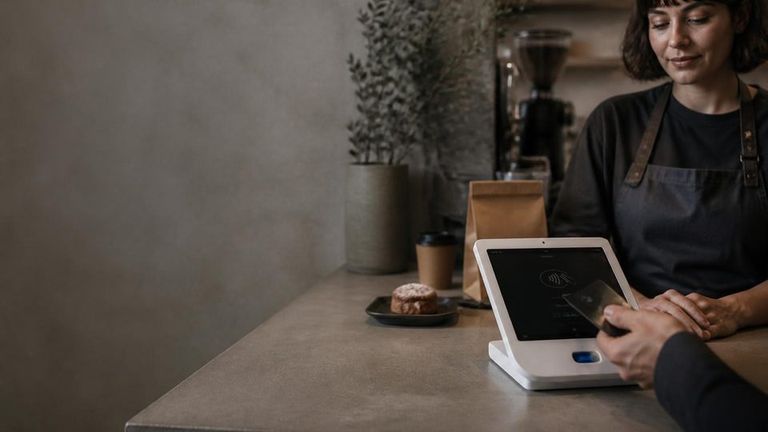 Host Merchant Services AI Market Strategy Report - Credit Card Processing Companies