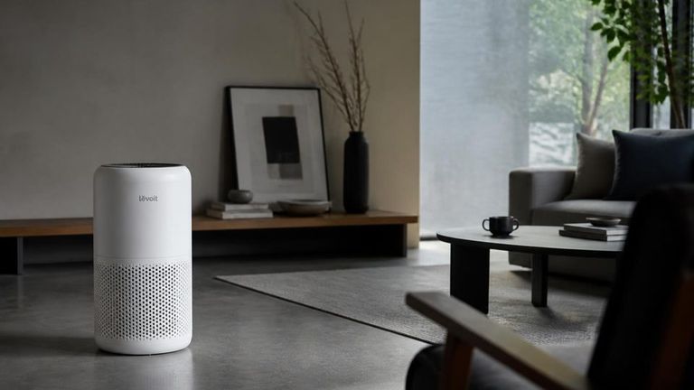 Levoit AI Market Strategy Report - Air Purifiers