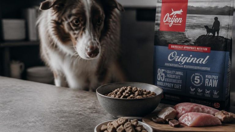 Orijen (Champion Petfoods) AI Market Strategy Report - Raw Freeze-Dried and Biologically Appropriate Pet Food