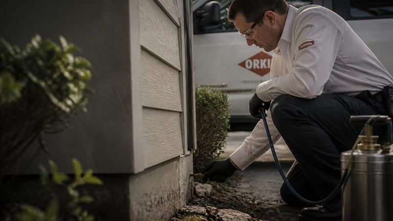 Orkin AI Market Strategy Report - Pest Control Services
