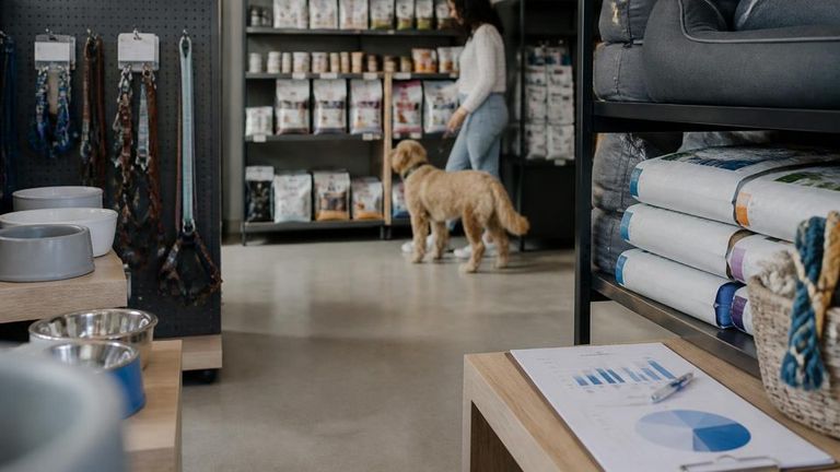 Petsense AI Market Strategy Report - Pet Retail Pet Supplies