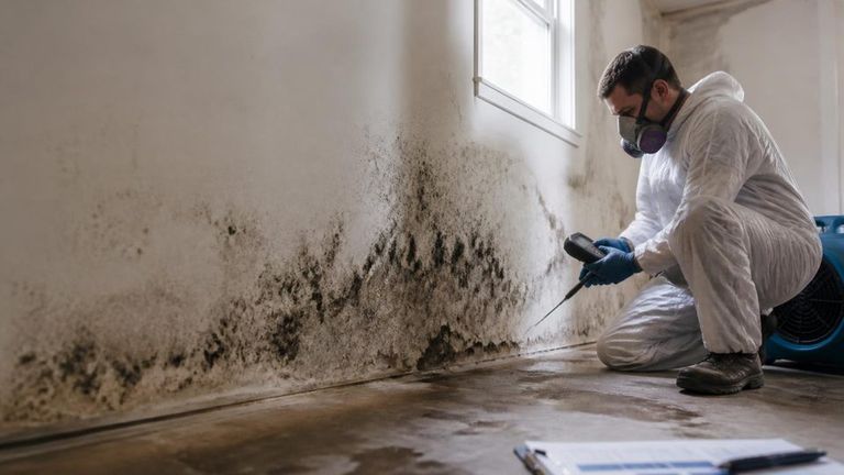 PuroClean AI Market Strategy Report - Mold Removal