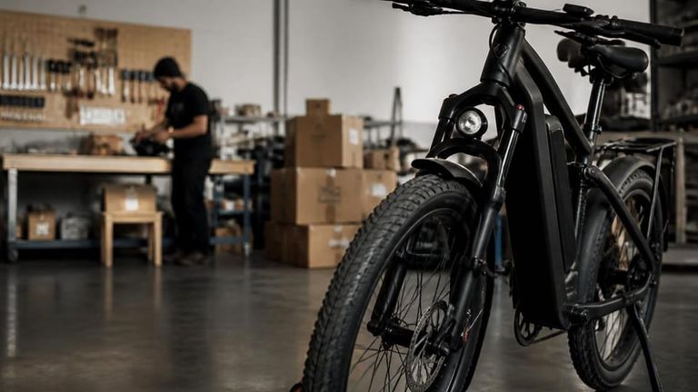 Rad Power Bikes AI Market Strategy Report - Direct to Consumer Electric Bikes