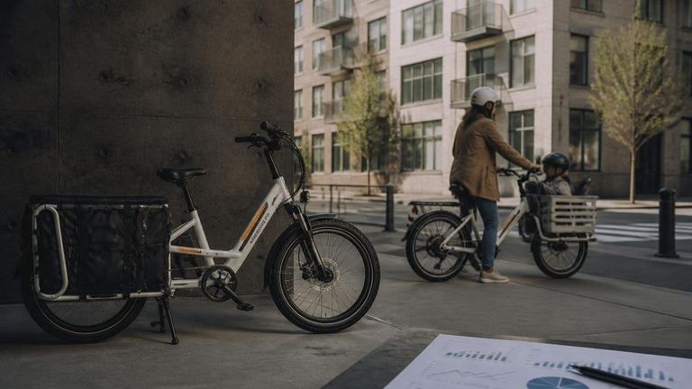 Rad Power Bikes AI Market Strategy Report - Electric Cargo Bikes and Family E-bikes