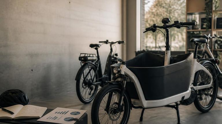 Riese & Müller AI Market Strategy Report - Electric Cargo Bikes & Family E-Bikes