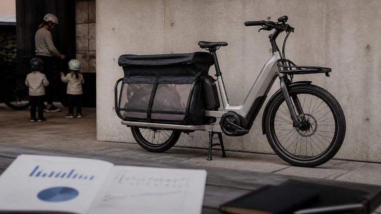 Specialized AI Market Strategy Report - Electric Cargo Bikes and Family E-bikes