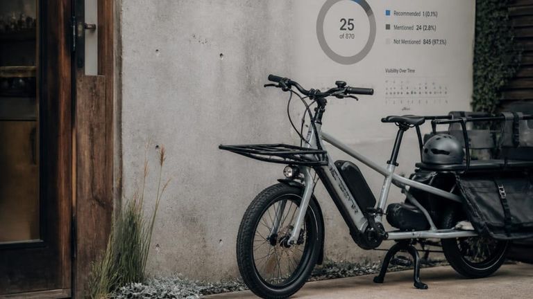 Surly Bikes AI Market Strategy Report - Electric Cargo Bikes & Family E-Bikes