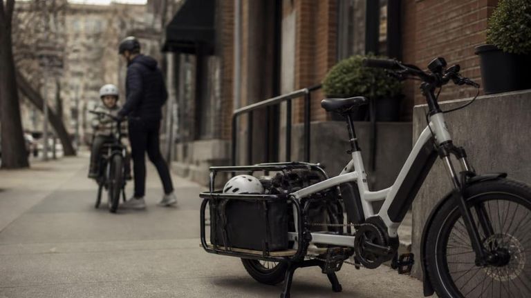 Surly Bikes AI Market Strategy Report - Electric Cargo Bikes & Family E-Bikes