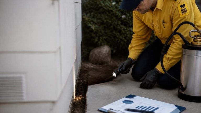 Truly Nolen AI Market Strategy Report - Pest Control Services