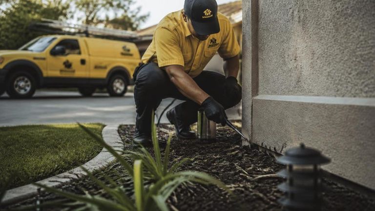 Truly Nolen AI Market Strategy Report - Pest Control Services