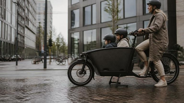 Urban Arrow AI Market Strategy Report - Electric Cargo Bikes & Family E-Bikes