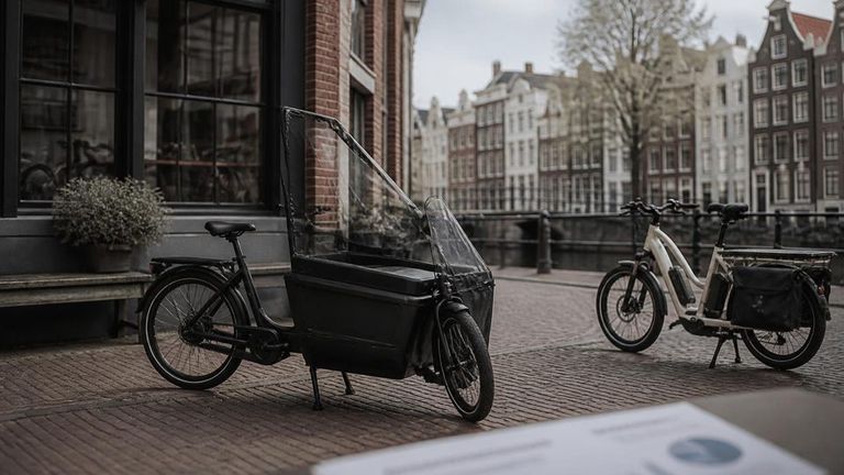 Urban Arrow AI Market Strategy Report - Electric Cargo Bikes and Family E-bikes