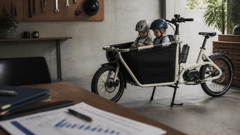 Yuba Bicycles AI Market Strategy Report - Electric Cargo Bikes and Family E-bikes